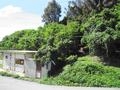 ワンジン団地内「山道」