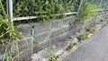 崩れかけているブロック塀